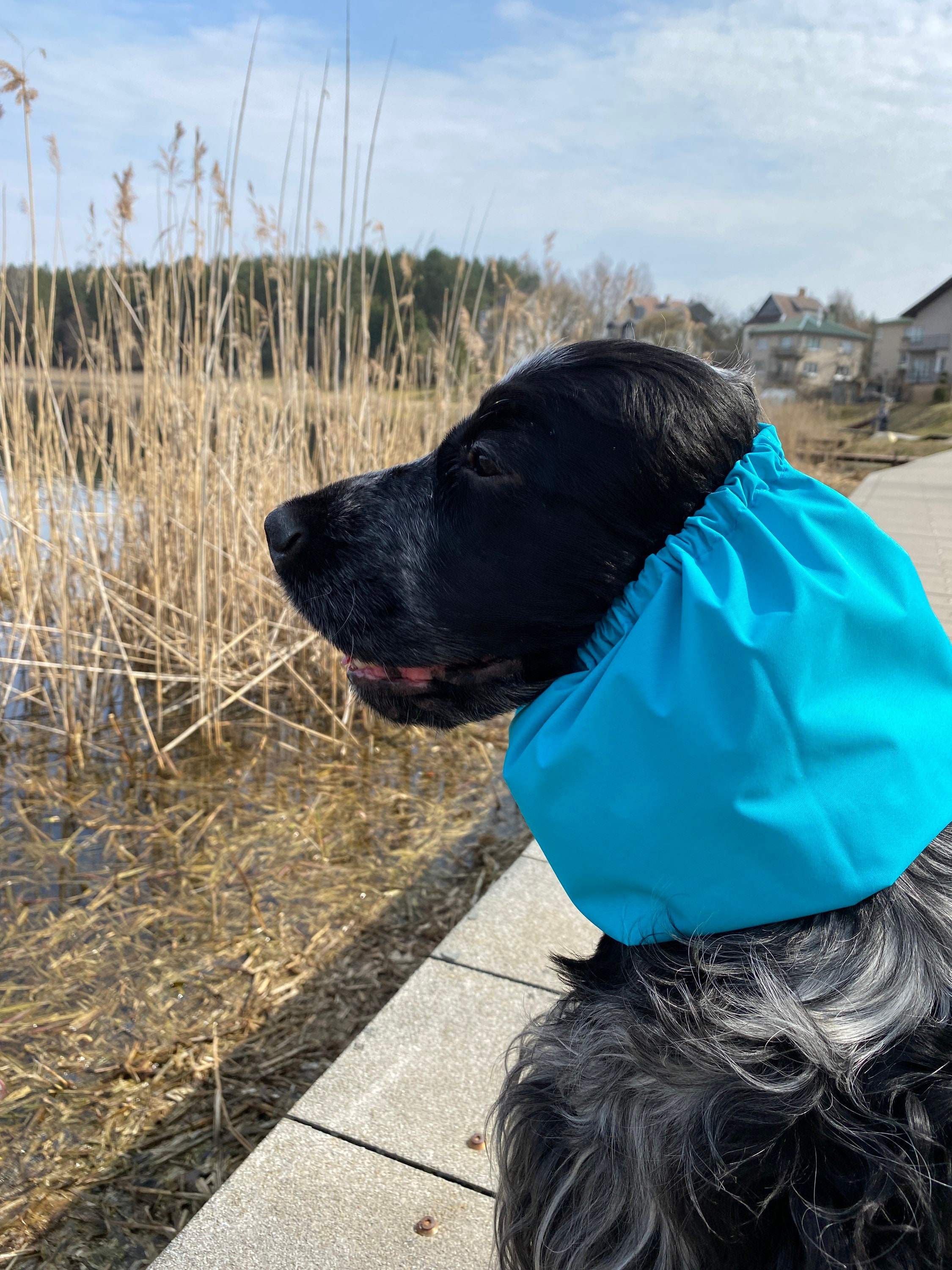 Aqua waterproof snood - Ear protector - Dog snood - Waterproof dog sn…