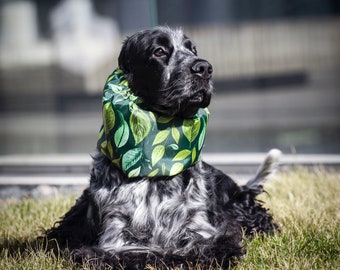 Snood résistant à l'eau « Feuilles vertes » - Snood résistant à l'eau pour chien - Snood résistant à l'eau pour chien - Snood cocker cavalier basset et caniche setter - Snood épagneul