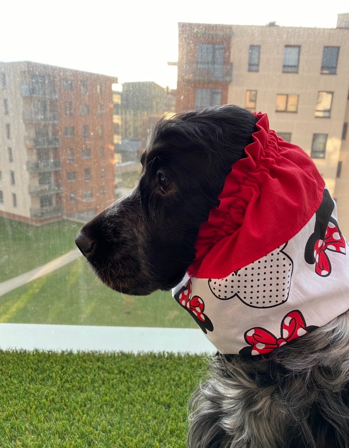 Cotton snoods with wavy endings Snoods for longeared dogs Etsy