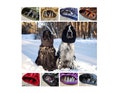 Waterproof snoods with flannel cotton - Ear protector - Warm Winter dog Snood - cocker springer cavalier spaniel snood product logo