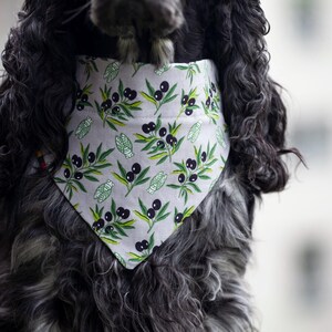 Può includere: Un cane bianco e nero che indossa un bandana bianco con un motivo di rami di ulivo verdi e neri.