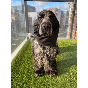 Svart bomull | linnesnood - sommarhundsnood - snoods för långörade hundar - Hörselskydd - cavalier cocker basset snood