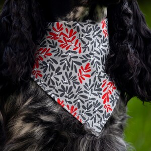 Bandana for dogs - Dog Bandana - Slip on Over the Collar Dog Bandana - Cat bandana - Puppy Bandana - Pet Accessories - Bandana