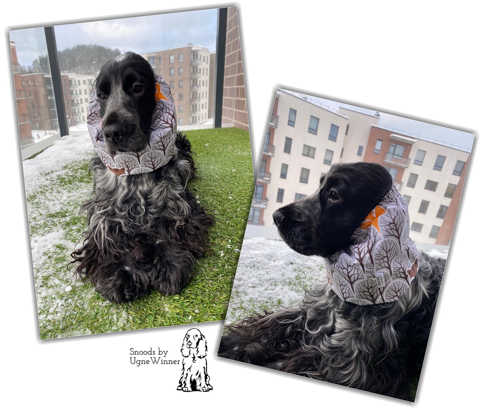 Hund Snood Snoods für Langohr Hunde Ohrenschützer Etsy