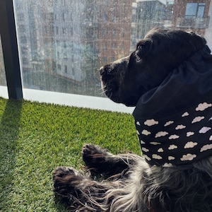 Cotton dog snood - Snoods for long-eared dogs - Ear protector - Dog snood - Dog ear cover - Cocker snood - Spaniel snood