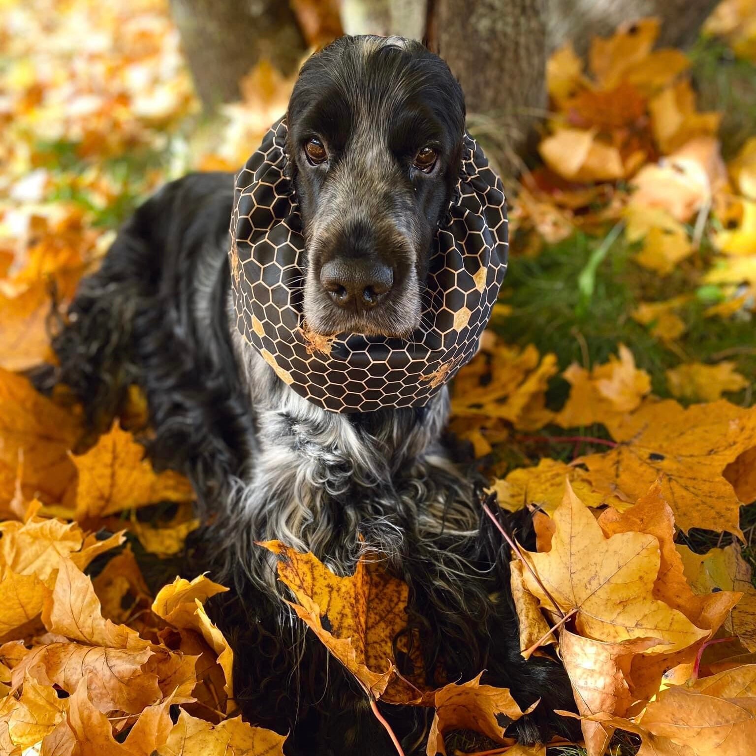 Water-resistant Snood 