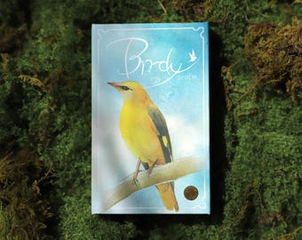 Fågelorakel | En andlig resa med fåglar, tarotkort och intuitiva läsningar