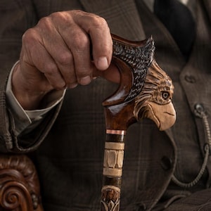 May include: A carved wooden walking stick with an eagle head. The stick has detailed carvings, a copper band, and an eagle head handle. The wood has a dark brown finish. The cane is held by a person wearing a brown suit with a patterned design.