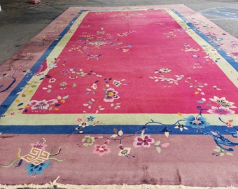 Può includere: Un grande tappeto rosa con un motivo floreale. Il tappeto ha un bordo blu e verde.