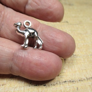 May include: Silver charm of a camel, a popular animal in desert regions, with a loop for attaching to a necklace or bracelet.