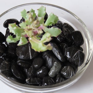 Natural Black Veined Beach Pebble Lot ~ 100 pc. Succulents ~ Terrariums ~ Aquariums ~ Natural ~ Surf Tumbled