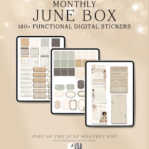 Funktionella digitala klistermärken GoodNotes | Planner Sticker Kit för juni för iPad | Vanespårningsklistermärken Noteful | Etiketter för veckovisa planeringsetiketter