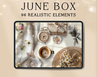 June Digital Planner Bundle | Realistic Stickers GoodNotes Noteful | Watercolour Clip Art Summer Florals | Monthly Box Digital Stickers iPad