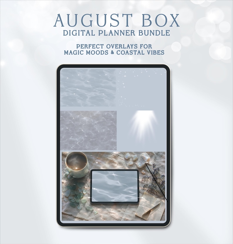 Complete August digital planner bundle, 600+ elements, PDF planner, PNG stickers, GoodNotes & Noteful sticker books. Instant download image 15