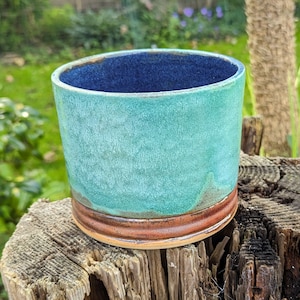 May include: A teal ceramic planter with a brown rim. The planter is sitting on a weathered wooden surface.