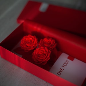 Carte happy valentines days pour femme ou petite amie, je t’aime carte