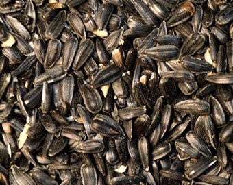 Black Oil Sunflower Seeds 5 Pounds Wild Song Bird Food Microgreens USA Grown