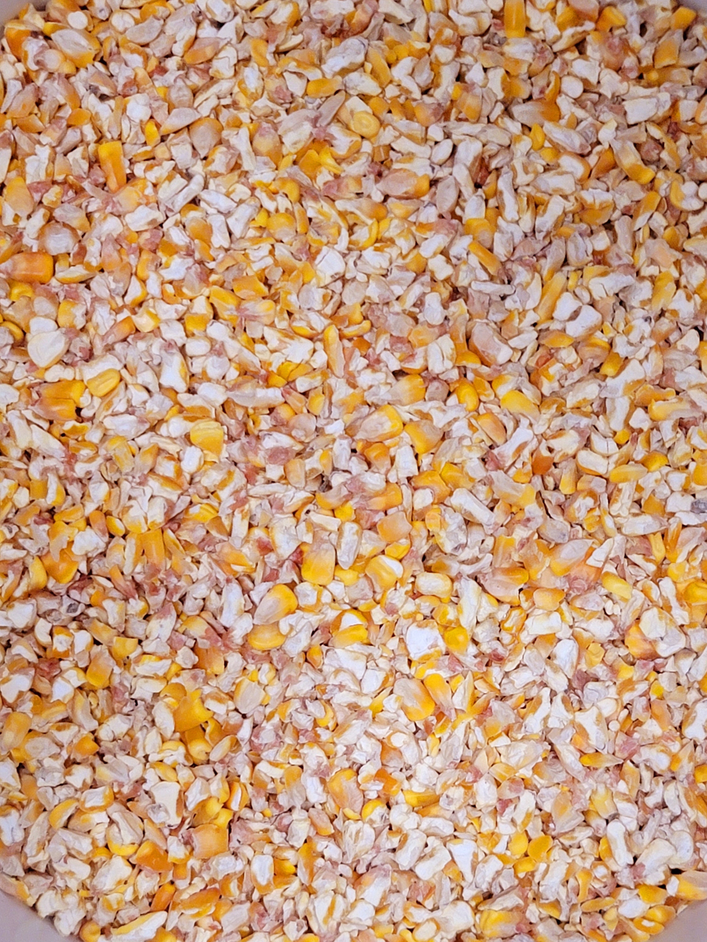 Cracked Kernel Corn Animal Wildlife Bird Feed Arts Crafts Etsy