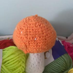 Crochet Amigurumi Mushroom Pattern Mushroom Crochet Pattern Mushroom Cutie Crochet Pattern PDF Download