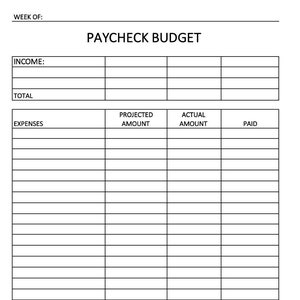 Paycheck Budget Sheet (DOWNLOAD)