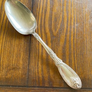 May include: A silver spoon with an ornate design featuring grapes and leaves. The spoon has a rounded bowl and a long, slender handle.
