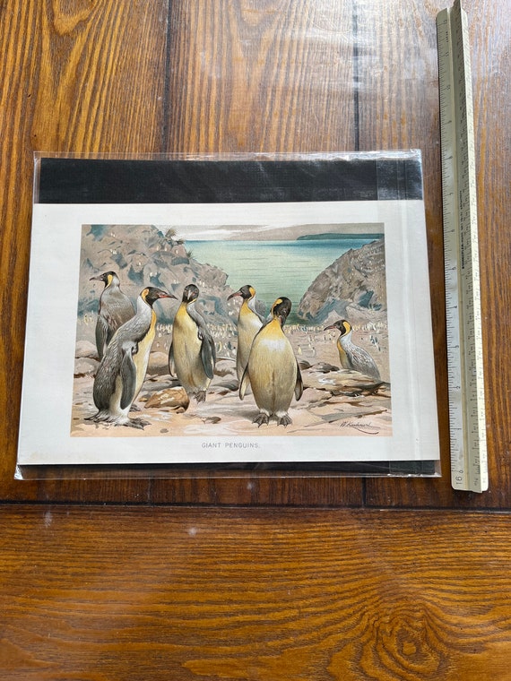 Mom & Baby Penguin Fabric Panel