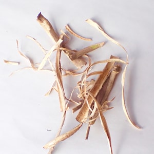 Wild Devil's Club- Dried Root Bark (Oplopanax Horridus) 1/4 lb - 1/2 lb