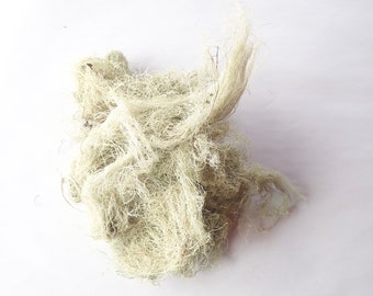 May include: A pile of dried, light beige Spanish moss. The moss is very fine and wispy, and it is tangled together in a loose clump.
