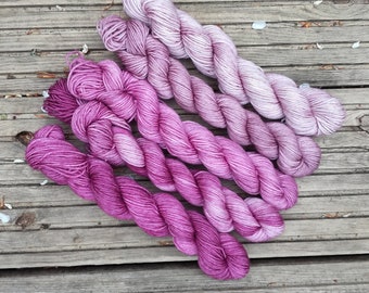 Hand-dyed 100% Superwash Merino, 5 mini-skein set, 100g total