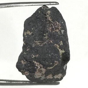 Puede incluir: Una roca gris oscura con motas blancas y marrones. La roca tiene una superficie rugosa y desigual.