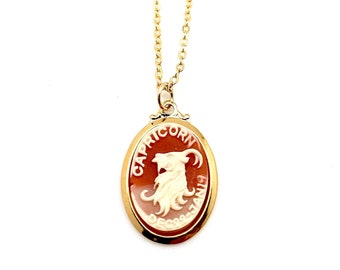 Vintage Capricorn zodiac charm necklace, boho Capricorn pendant, 1970's  astrological charm, horoscope jewelry, vintage cameo necklace