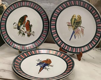 Ensemble de quatre assiettes vintage Oiseaux décoratifs orientaux | Assiettes décoratives perroquet | Décor d'oiseau