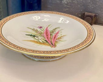 アンティーク ロイヤル ウースター ボタニカル フットプレート | 1874