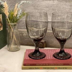 Pair of Vintage Libbey Classic Smoke Water Glasses | Retro Smoke Drinking Glasses