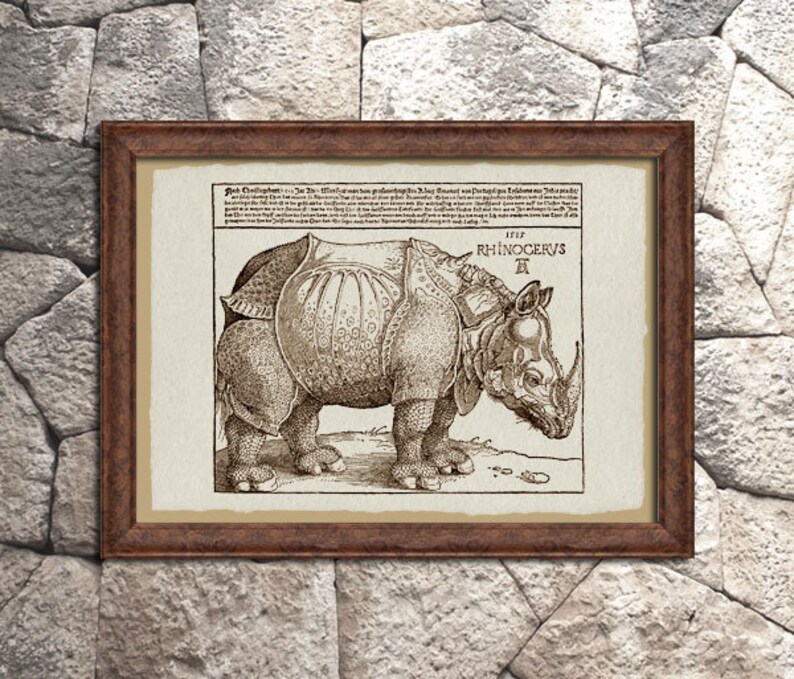 The Rhinoceros. Print on Handmade Paper of Albrecht Durer | Etsy