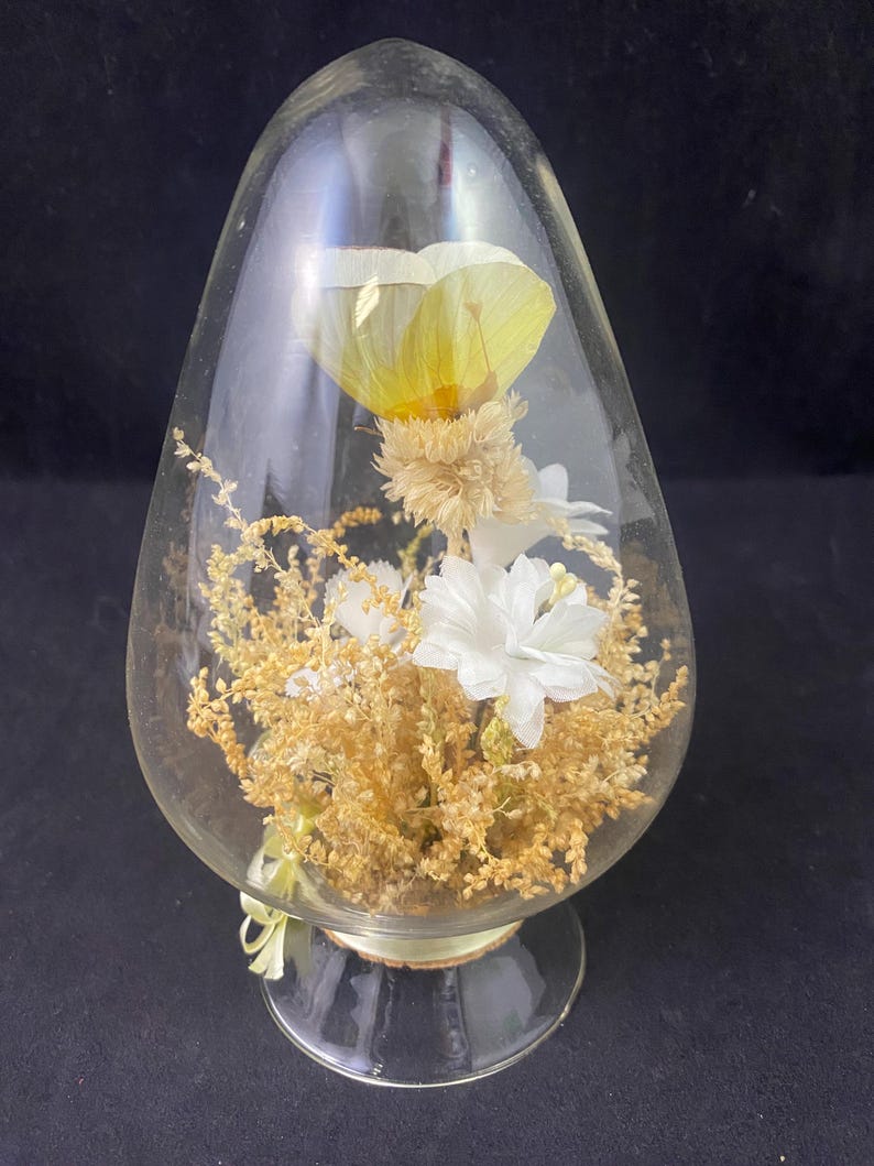 Vintage Glass Dome Egg Cloche With Dried Flowers Real Butterfly Yellow ...