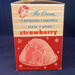 Vintage Strawberry Ice Cream Carton Box Advertising Mid Century Kitsch 50s