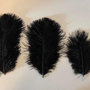Set of three black Ostrich feathers