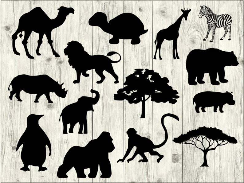 Download Zoo SVG Bundle Animals SVG bundle Zoo cut file Zoo clipart | Etsy