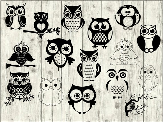 Download Owl Svg Bundle Birds Svg Bundle Owl Cut File Owl Clipart Etsy