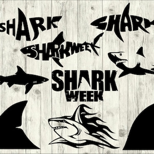 Shark SVG Bundle, Shark Week SVG bundle, Shark cut file, clipart, Shark svg files for silhouette, files for cricut, svg, dxf, eps, png, scal