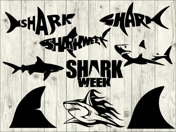 Download Shark Svg Silhouette Cut File Png Clipart