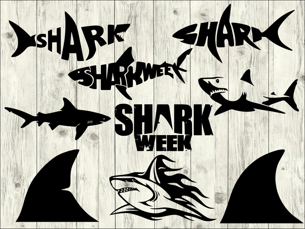 Download Shark SVG Bundle Shark Week SVG bundle Shark cut file | Etsy