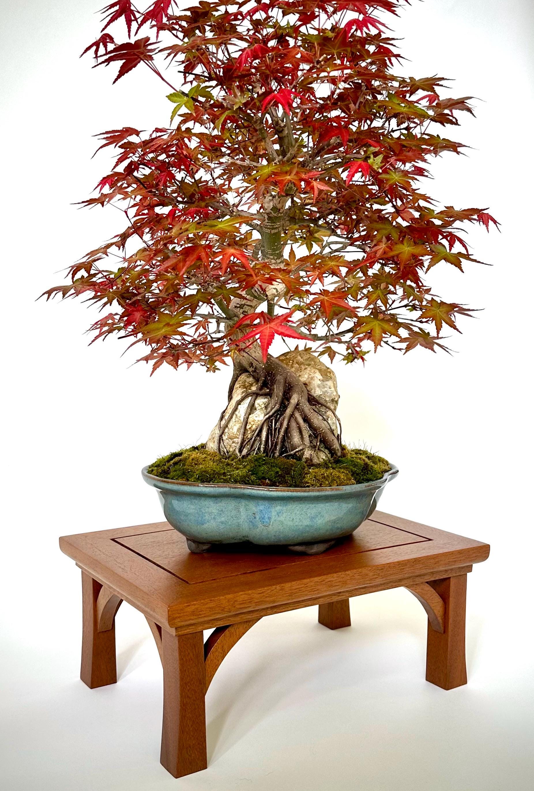 Bonsai Pot Stand - Etsy New Zealand