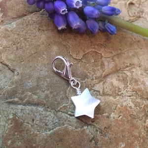 Diversos dijes de pulsera de conchas con cierre: cruz, corazón, flor, estrella, hoja, mariposa