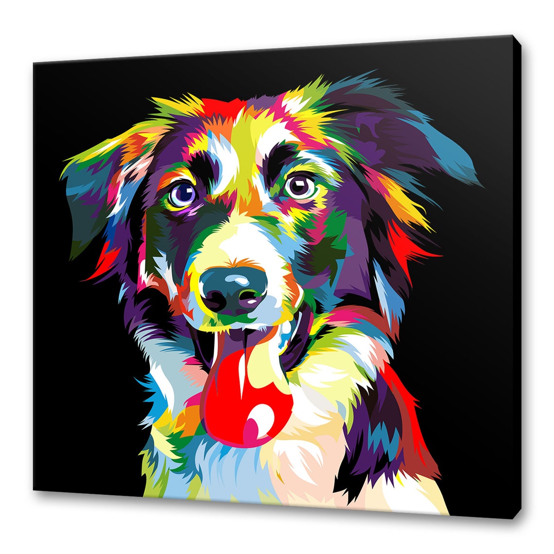 Border Collie colourful canvas print picture wall art home Etsy