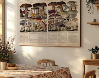 Vintage Mushrooms Chart Illustration Canvas Print Wall Art by Adolphe Millot
