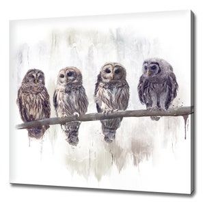 Barn Owls canvas print picture wall art home decor free fast UK deliveryColourful