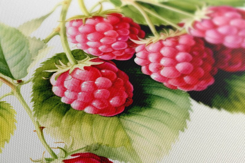 Raspberry Fruits Watercolour Painting Canvas Print, Fruits Lover Gift ...