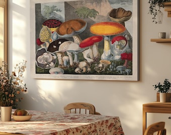 Antique Fungi Study Botanical Mushrooms Canvas Print Wall Art